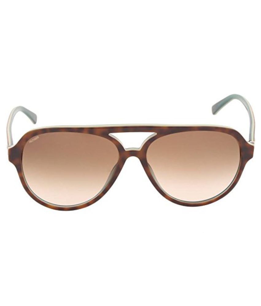 tommy brown sunglasses