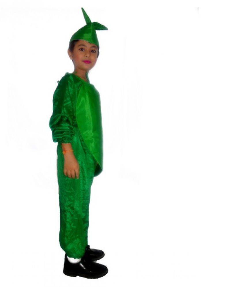 Red Chilli Vegetable Fancydress Kids Costume one Time Use Cut Out With ...