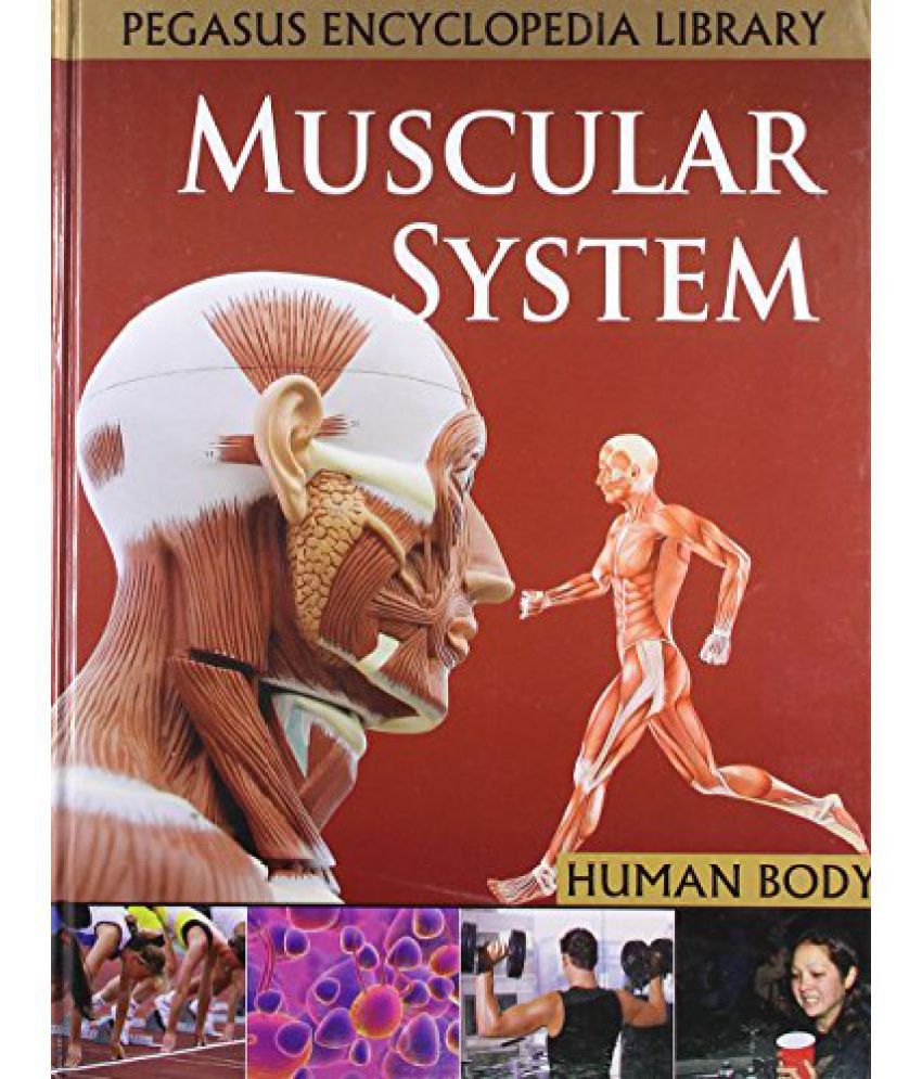 Muscles Cells 1 Human Body: Buy Muscles Cells 1 Human Body Online at ...