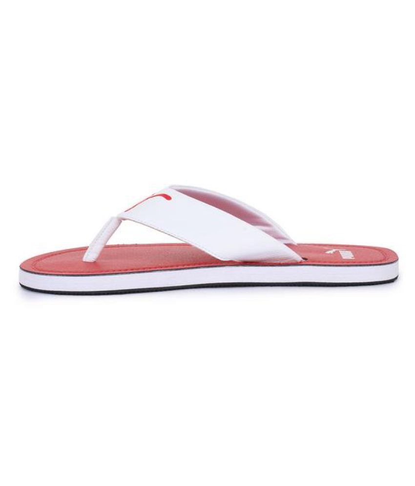 puma flash cat idp