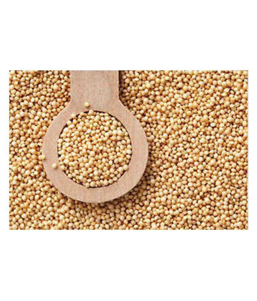 Aapkidukan Amaranth Grains / Rajgira / Rajgiri Grains - Nutritive, Digestive 950 gm