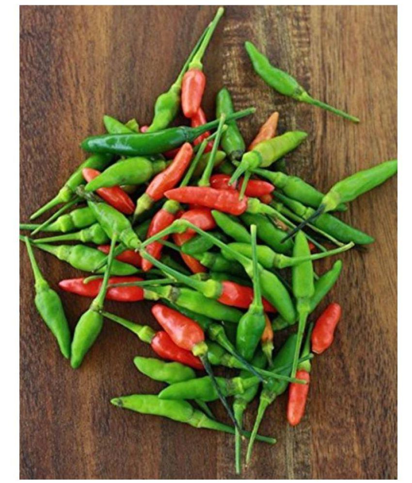 Red Bird Eye Chilli Seeds - Kanthari Mulaku,Thai Pepper,Tiny Chilli