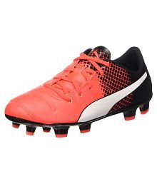 puma evopower 2.1