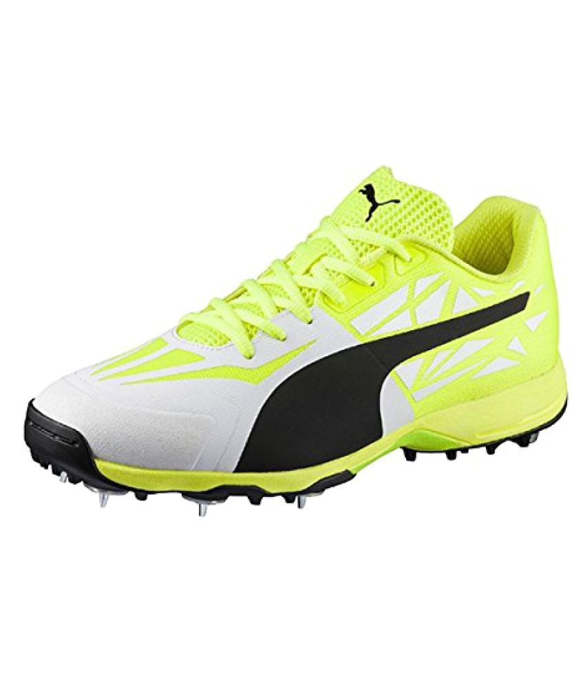 puma new cricket shoes