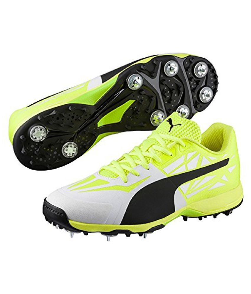 puma circat