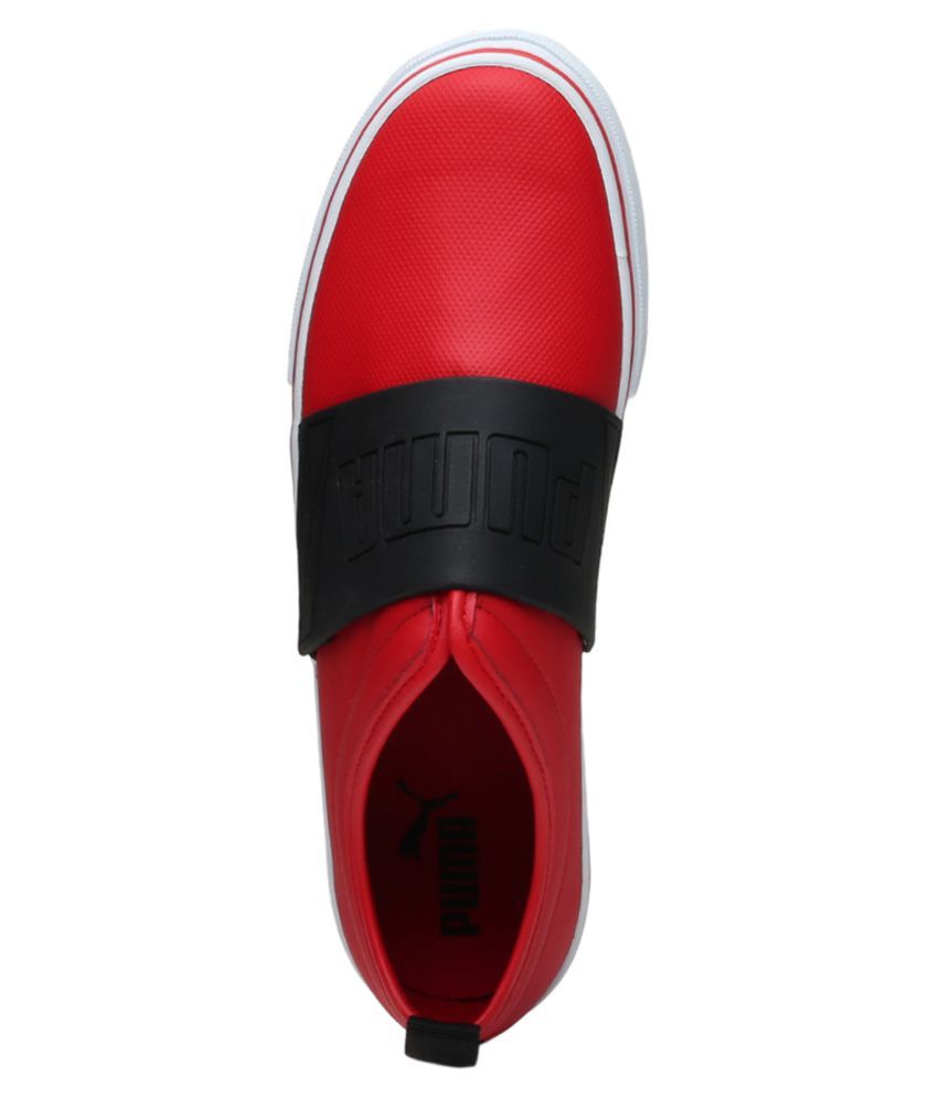 el rey fun puma