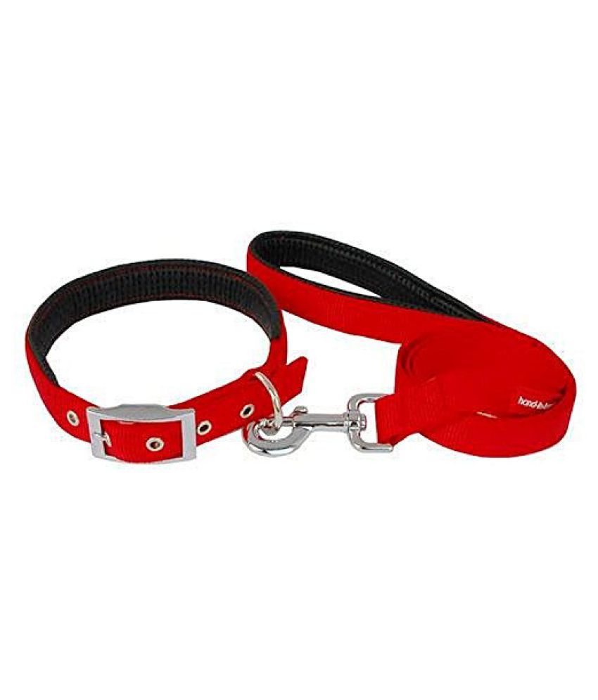 dog collar price