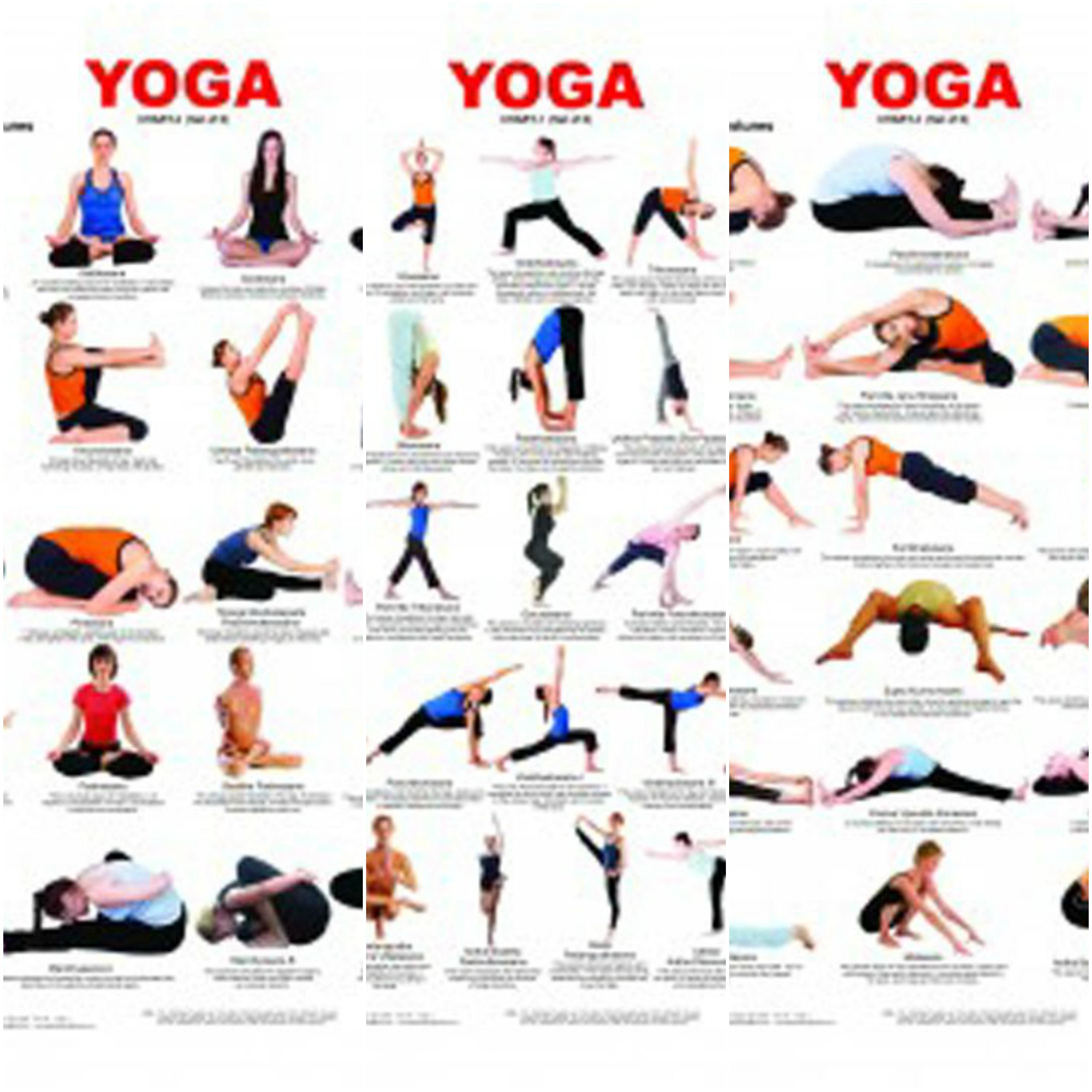 13+ Basic Yoga Poses Chart Yoga Poses