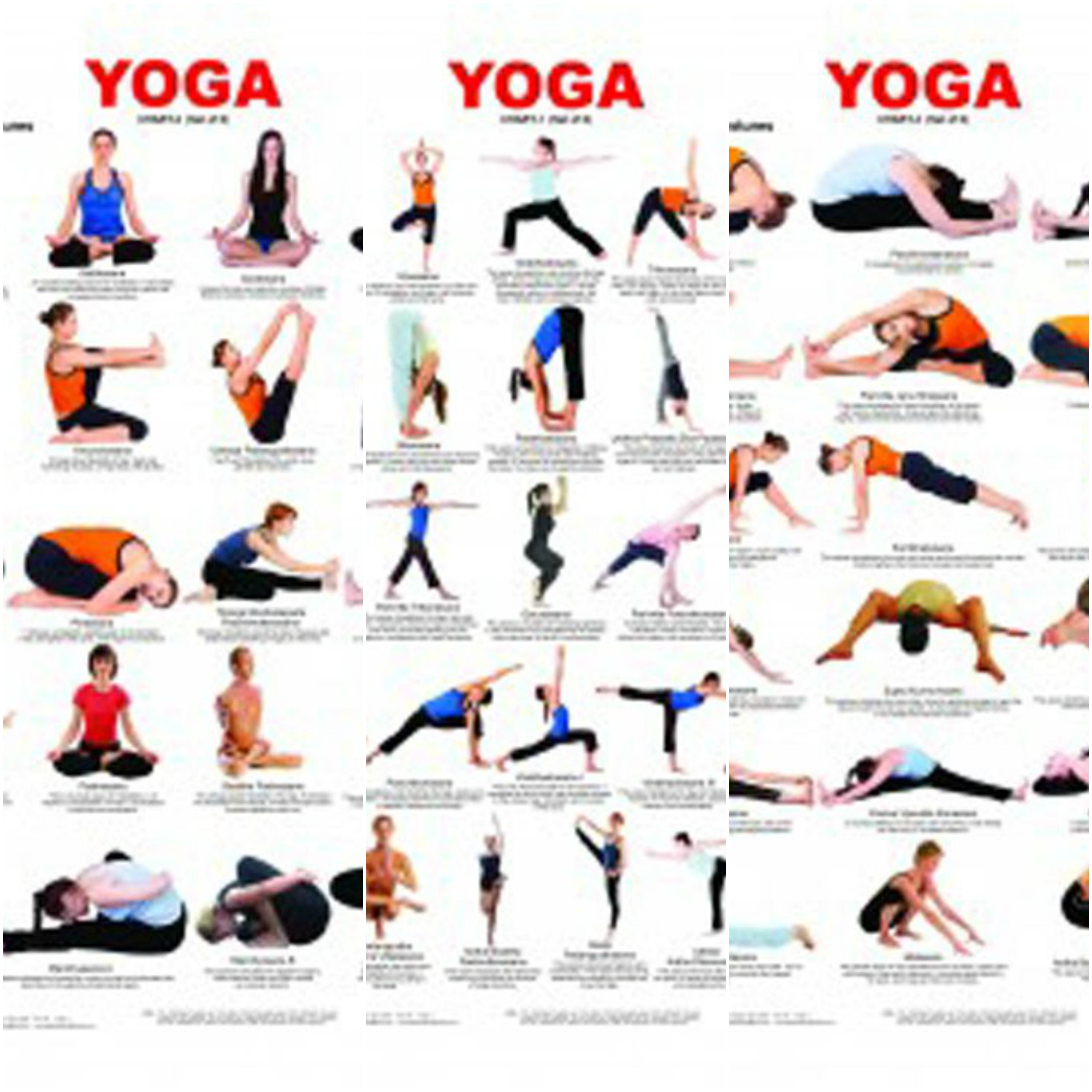 Yoga Chart Combo pack Volume 1, 2 & 3 Buy Yoga Chart Combo pack