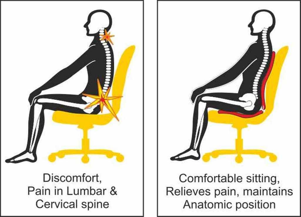 Sabar Orthopedic Back Rest / Lumbar Back Pain Support Backguard 3090 ...