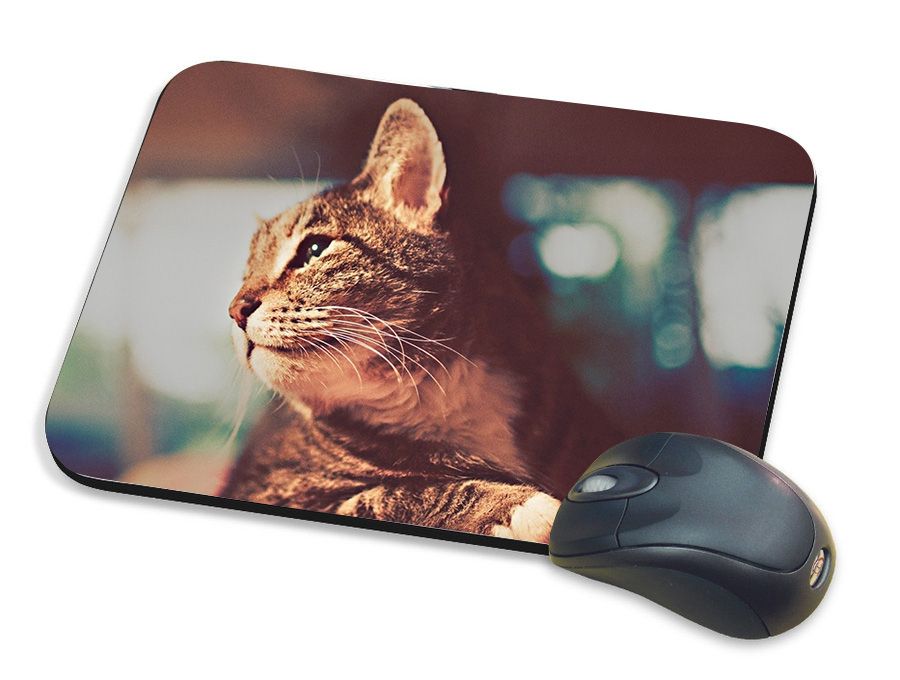 PRINTHUBS CAT Mouse pad - Buy PRINTHUBS CAT Mouse pad Online at Low ...