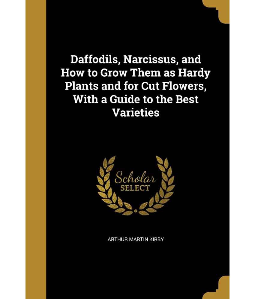 Daffodils, Narcissus, and How to Grow Them as Hardy Plants and for Cut