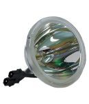 LG 4930V00301 Bare Lamp
