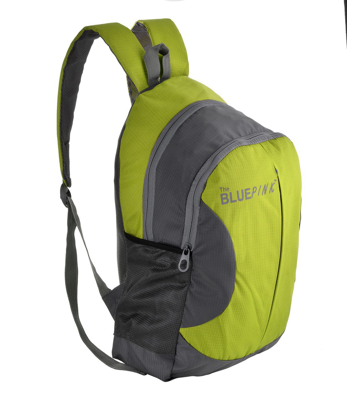 The Blue Pink -Green Backpacks / School Bags / College Bag/ Laptop Bags