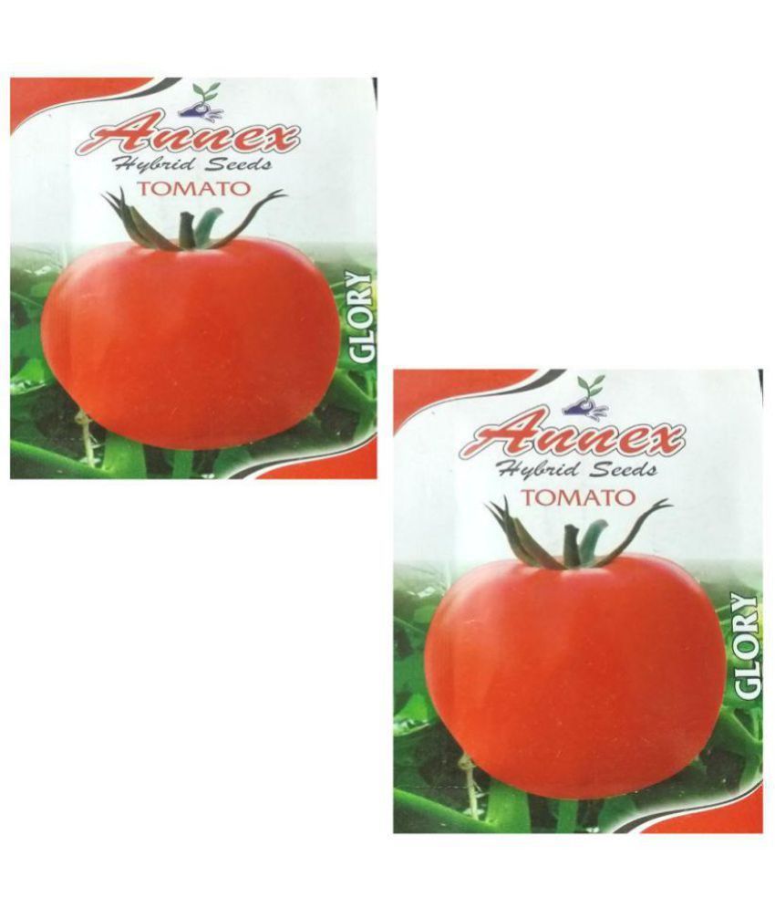 Annex Tomato Seeds Pack of 2 Vegetable Seeds Buy Annex Tomato Seeds