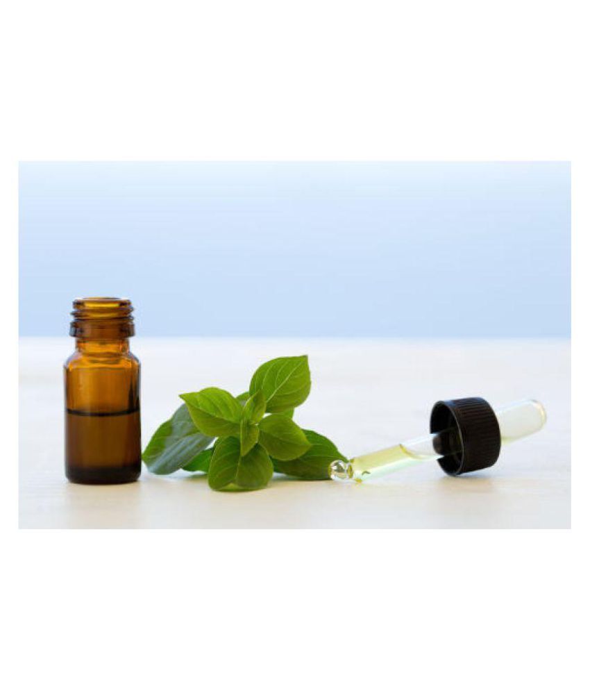 Shagun Gold Ocimum basilicum herb Basil oil Essential Oil With Dropper