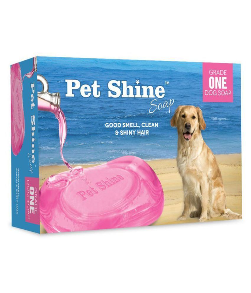 dog flap microchip large