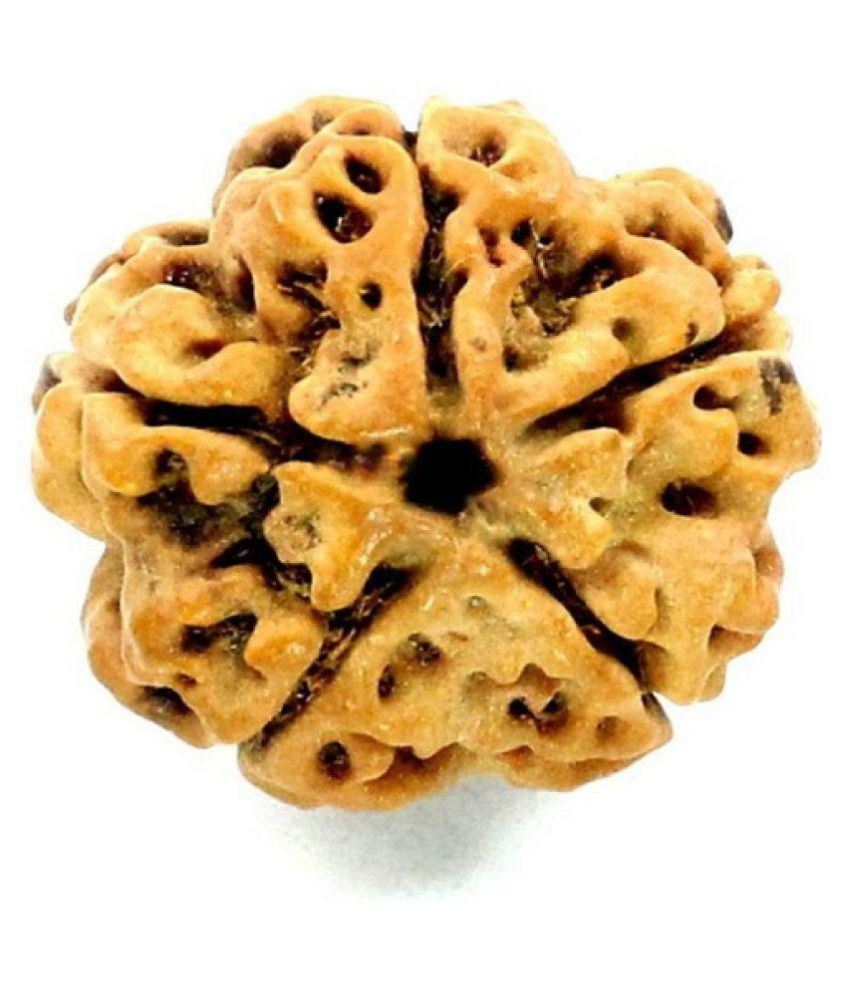     			Shivoham 5 Mukhi Rudraksha Wood With (Lab Certified) Locket 5 Face Rudraksha