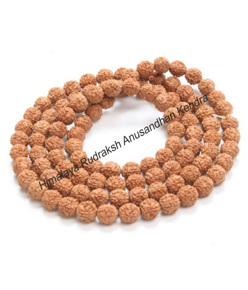 Fashion week How to mukhi 6 wear rudraksh for woman Fashion week How to mukhi 6 wear rudraksh for lady