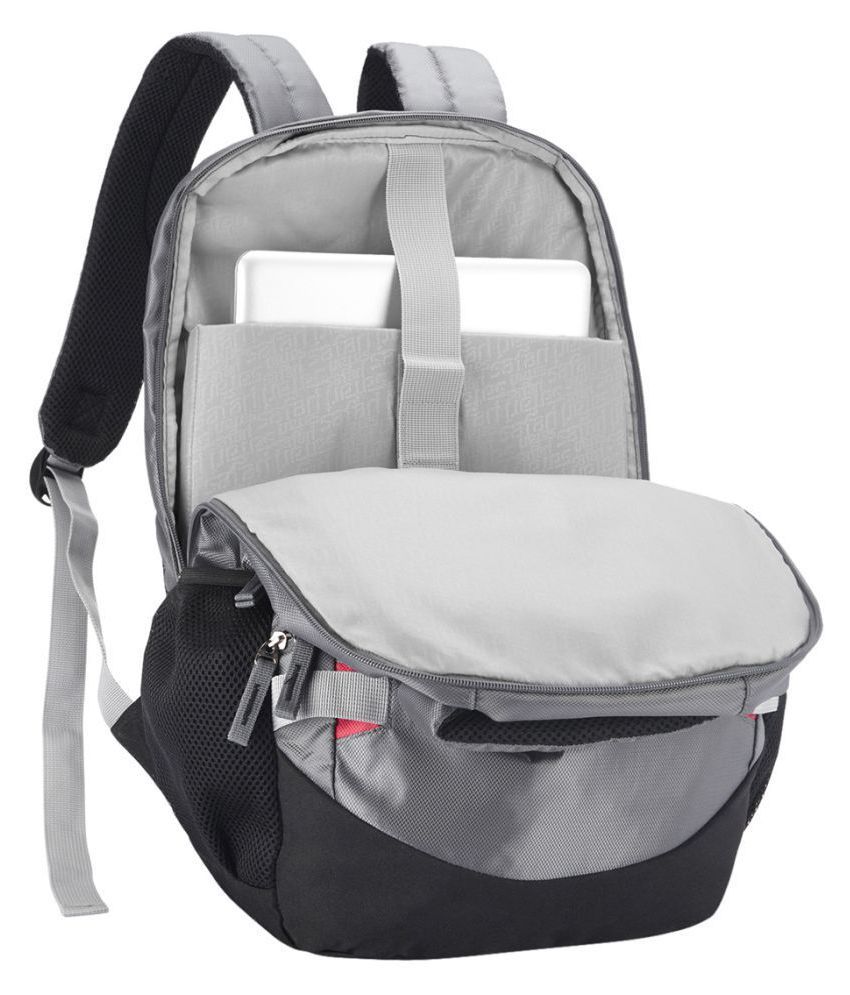 Buy Safari Grey Brisk Grey Backpack(40 