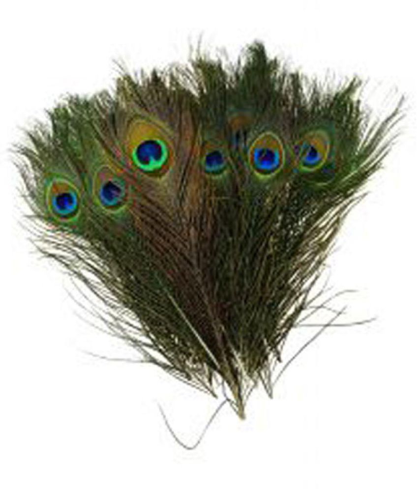 PEACOCK FEATHER / MAYUR PANKH /MOR PANKH PACK OF 30 Buy