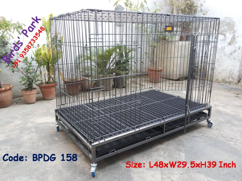 large bird cage online