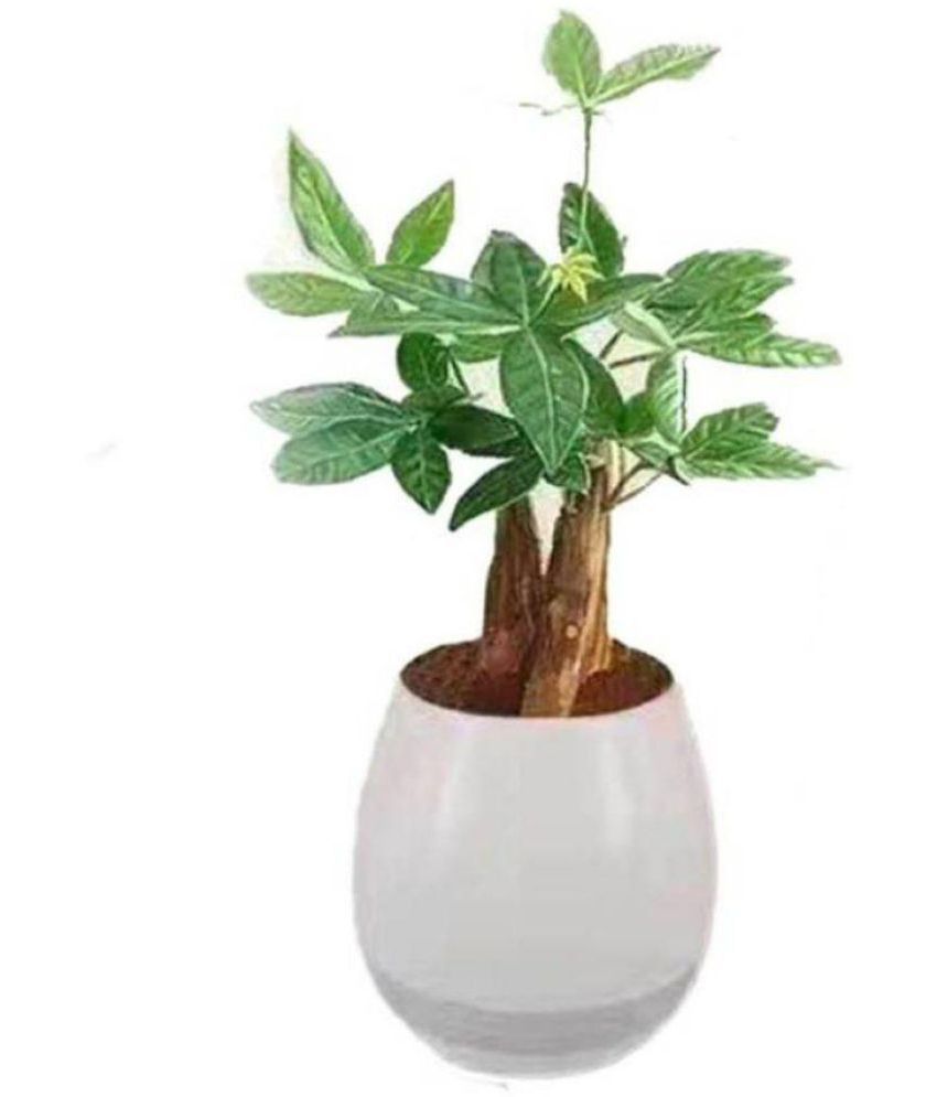 plant bluetooth speaker