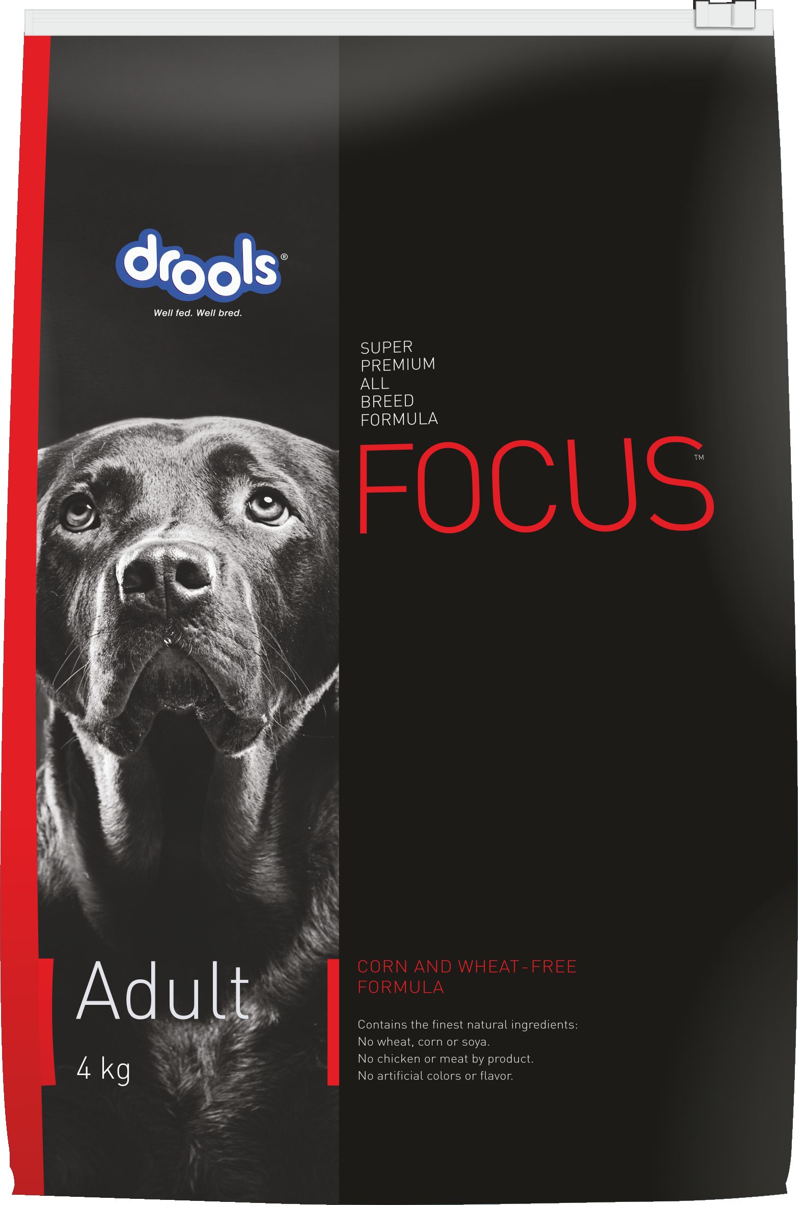 drools focus