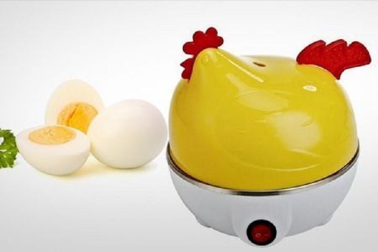 Everything Imported Hen 7 Egg Cooker Boiler 1.5 Ltr Egg Boilers Price
