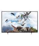 KEVIN KN50 122 cm ( 48 ) Full HD (FHD) LED Television