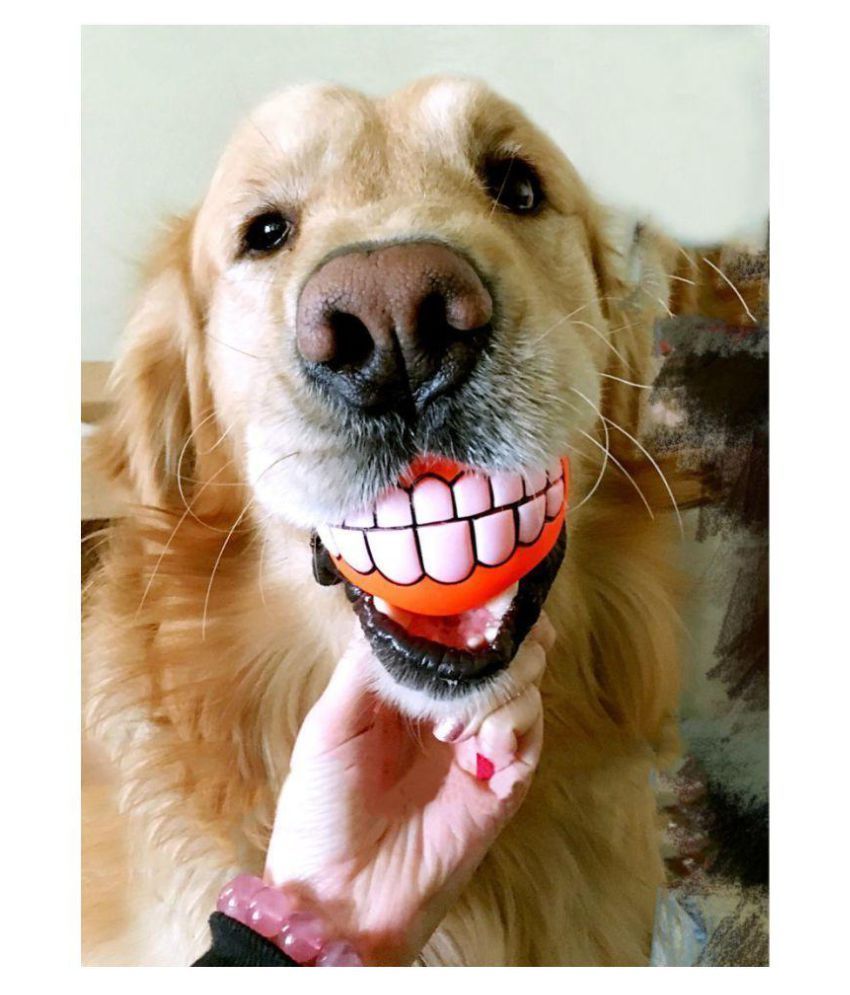 dog ball with teeth