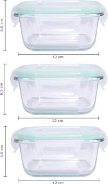 signoraware director glass lunch box with bag 581