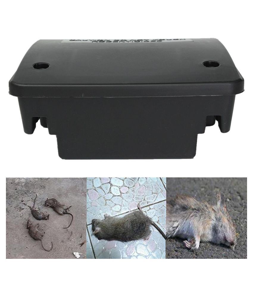 rodent bait