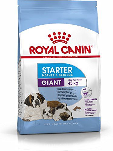     			Royal Canin Giant Starter 4Kg