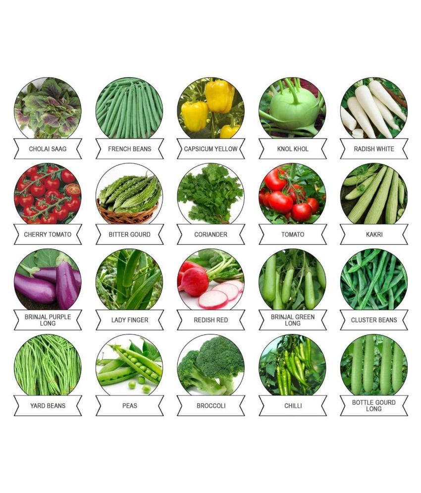 Aero Seeds 20 Varieties Of Vegetable Seeds Indian Vegetable Exotic