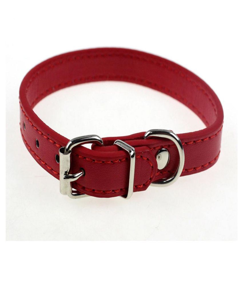 dog collar buckle types