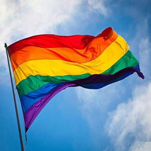 Buy Rectangle Rainbow Flag Large Polyester Lesbian Gay Pride Symbol Lgbt Flag Online At Best Price In India Snapdeal