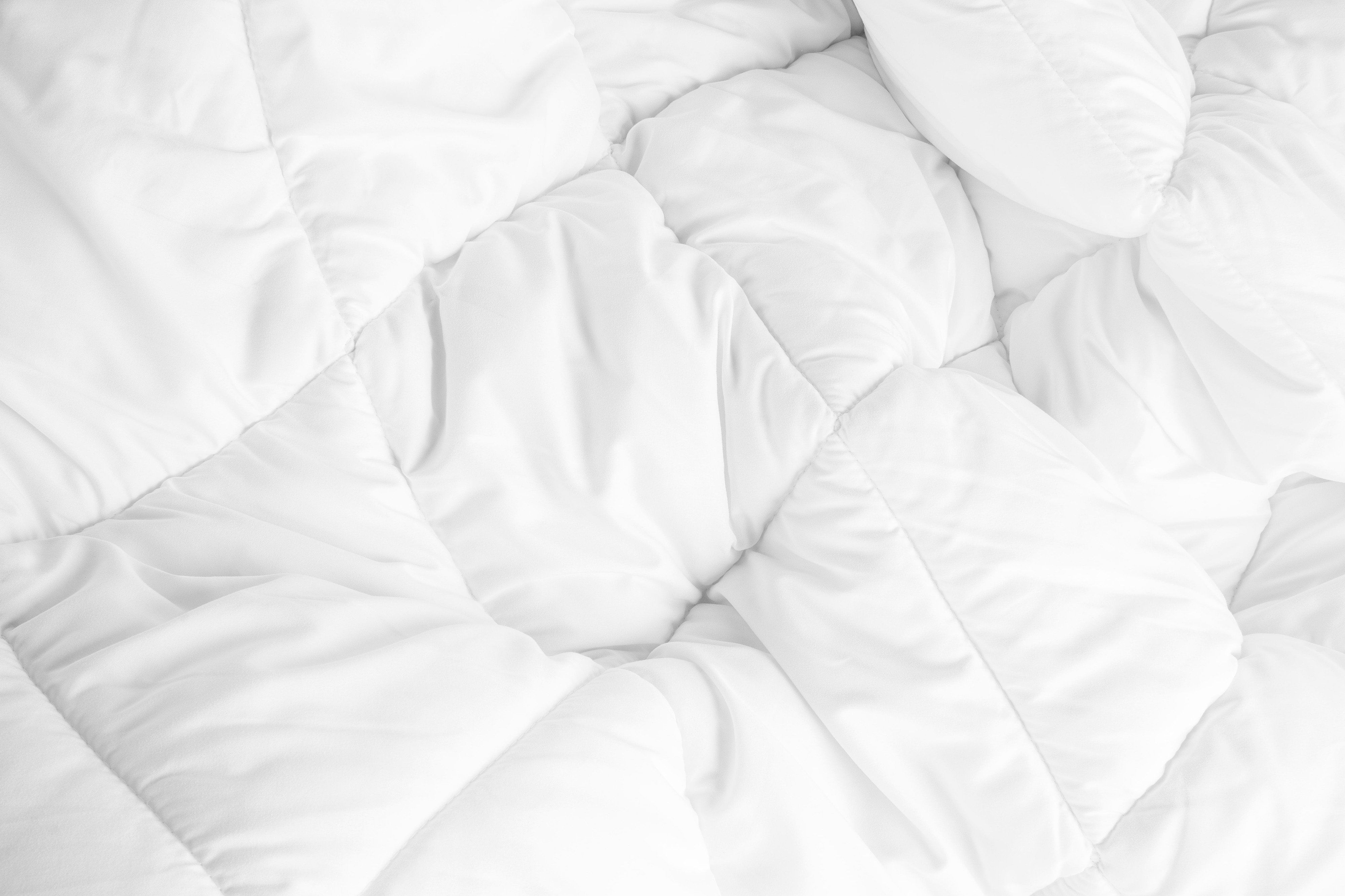 Gilson Single Cotton Plain White Comforter Buy Gilson Single Cotton