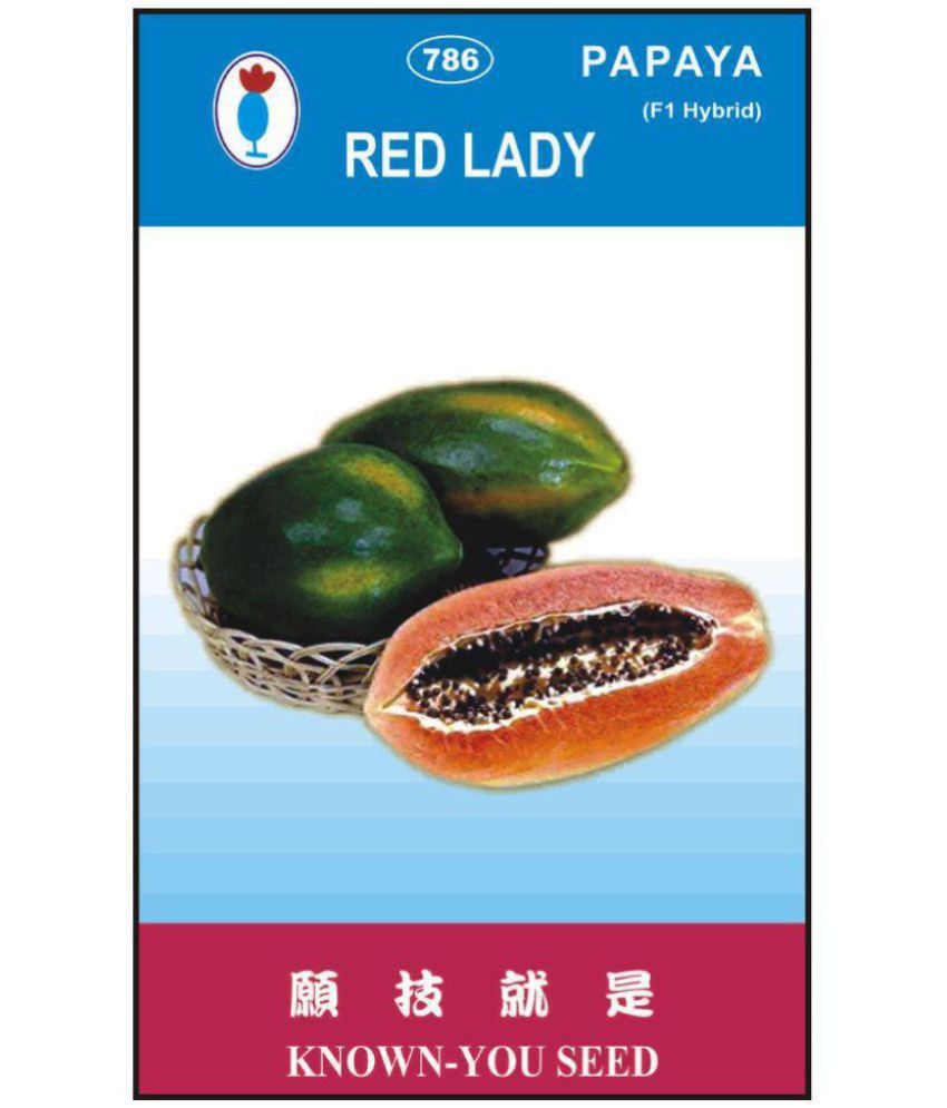     			red lady f1 hybrid786 papaya seeds pack of 3