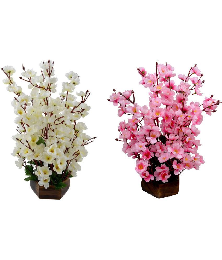     			Kaykon Orchids Multicolour Flowers With Pot - Pack of 2