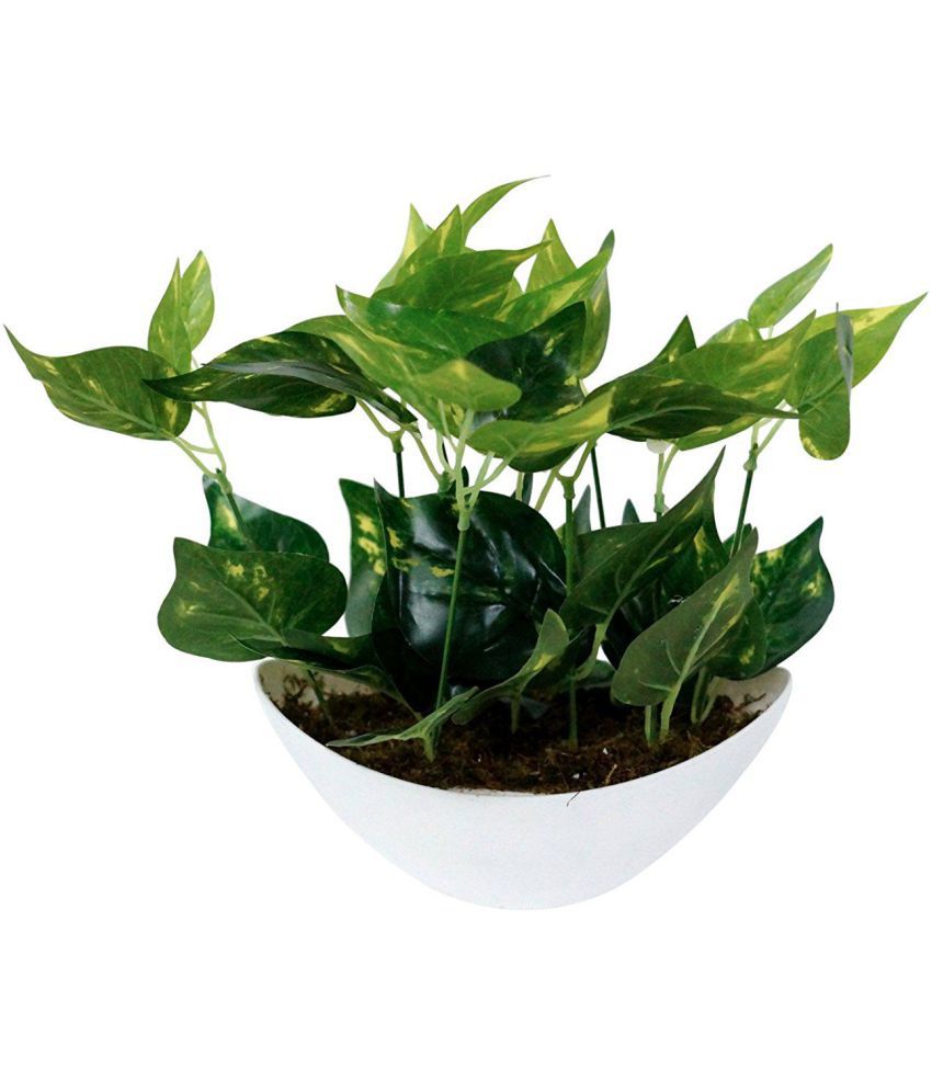     			YUTIRITI Miniature Money Decorative For Home Green Artificial Plants Bunch Plastic - Pack of 1