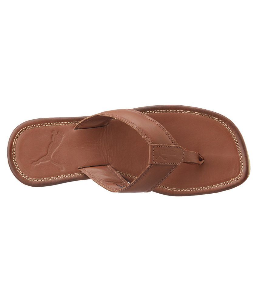 Puma stan DP Brown Thong Flip Flop Price in India- Buy Puma stan DP Brown Thong Flip Flop Online 