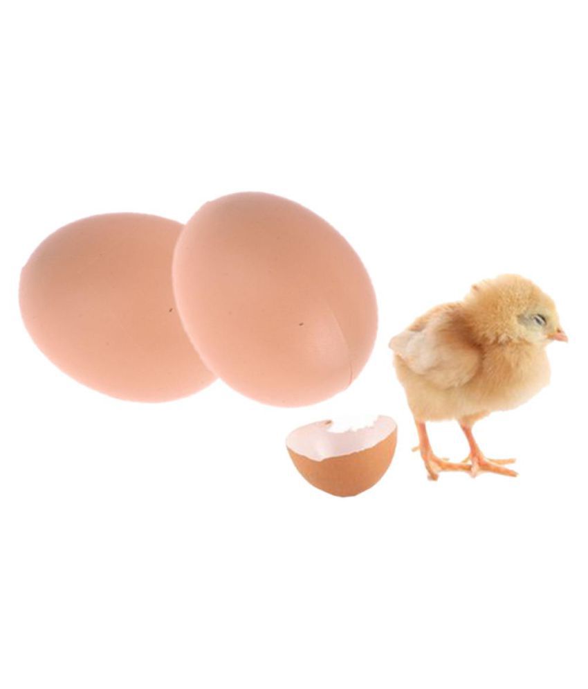 5/10/20 Pcs Fake Dummy Egg Hen Poultry Chicken Prank Plastic Eggs Home Decor Set 