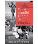 What Gandhi Didn't See: Being Indian in South Africa