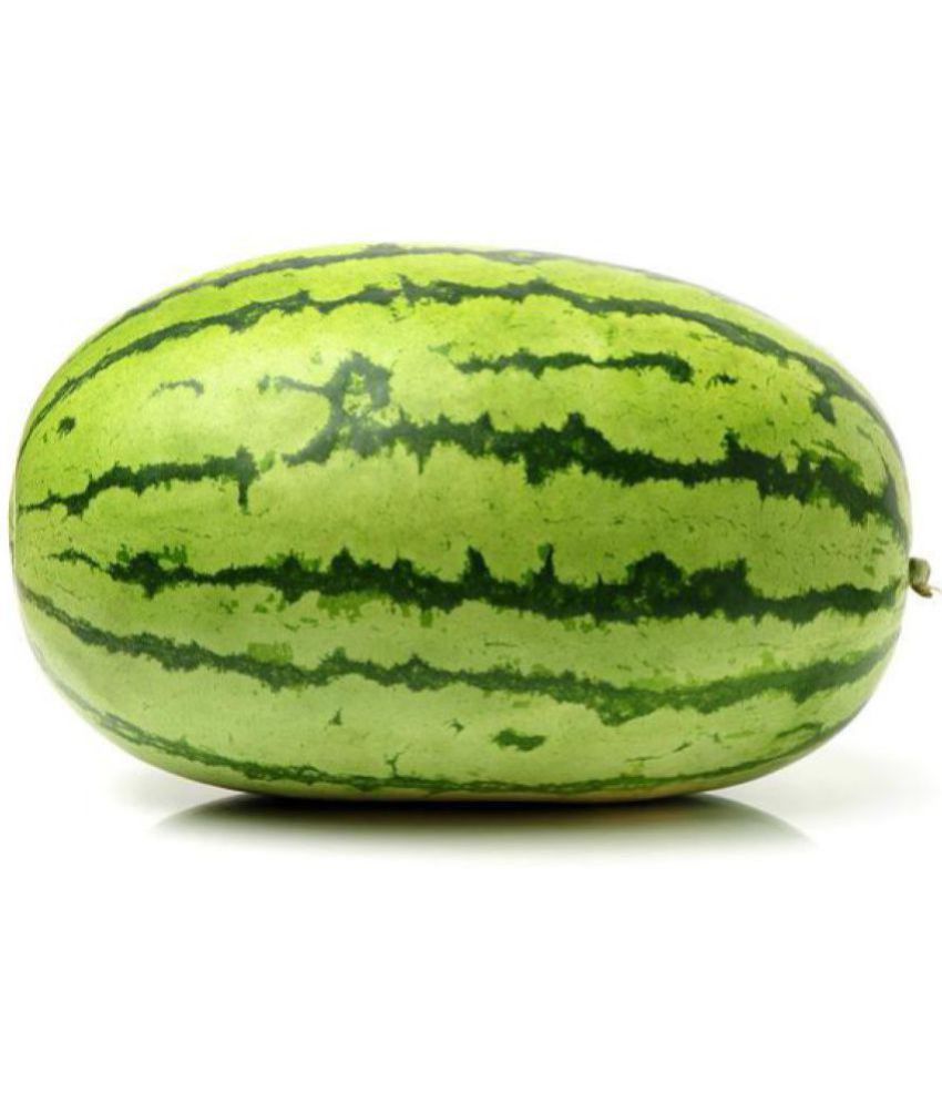     			Watermelon Seeds, Water Melon Striped Oval Tarbooz Pack Of 20 Seeds
