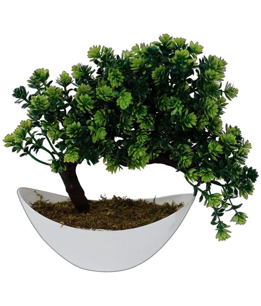     			YUTIRITI Bonsai Plant Green Artificial Tree Plastic - Pack of 1
