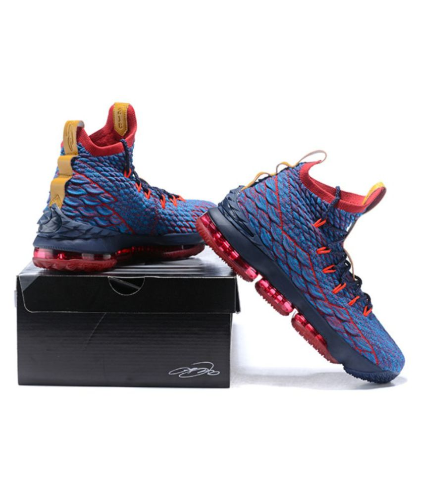 lebron fire and ice shoes