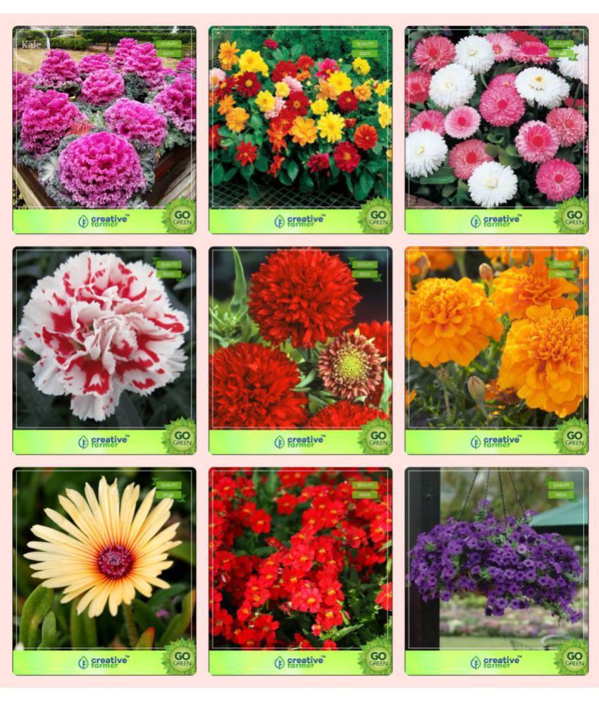 Creative Farmer Flower Seeds Plant Seeds For Home Garden Flowers