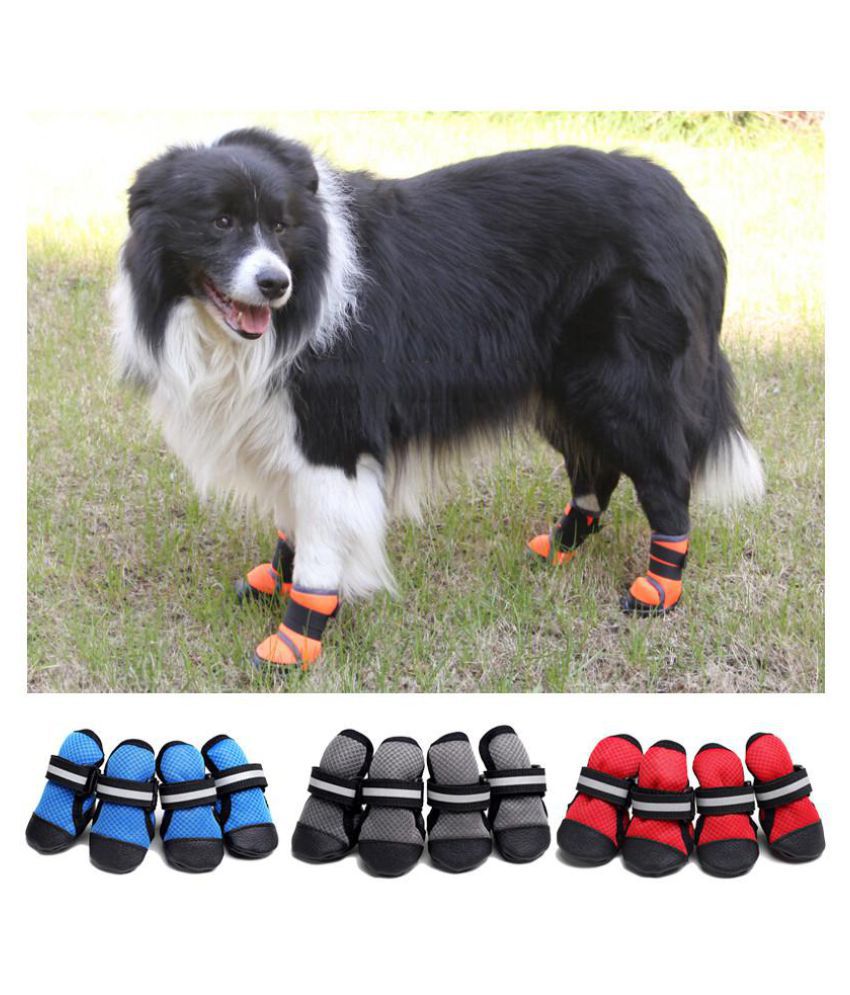 breathable dog shoes