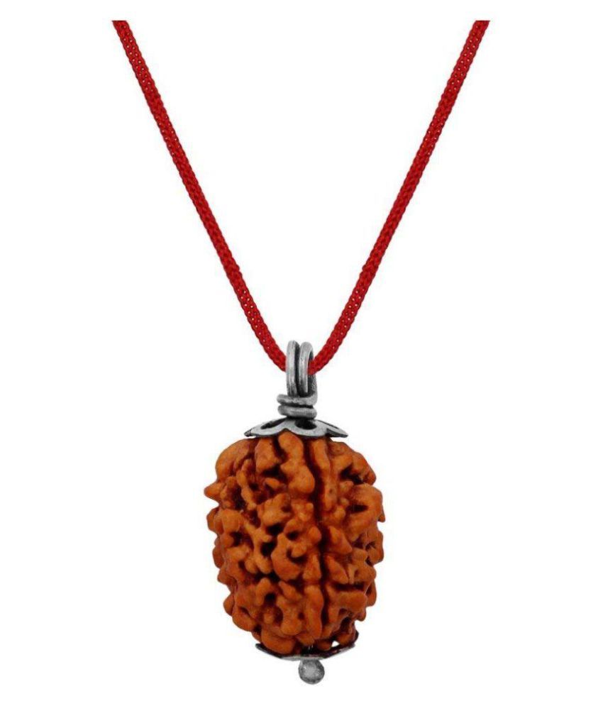 Rudra Divine 3 Mukhi Rudraksha | Three Face Rudraksha Original and ...